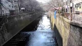 Nakameguro River