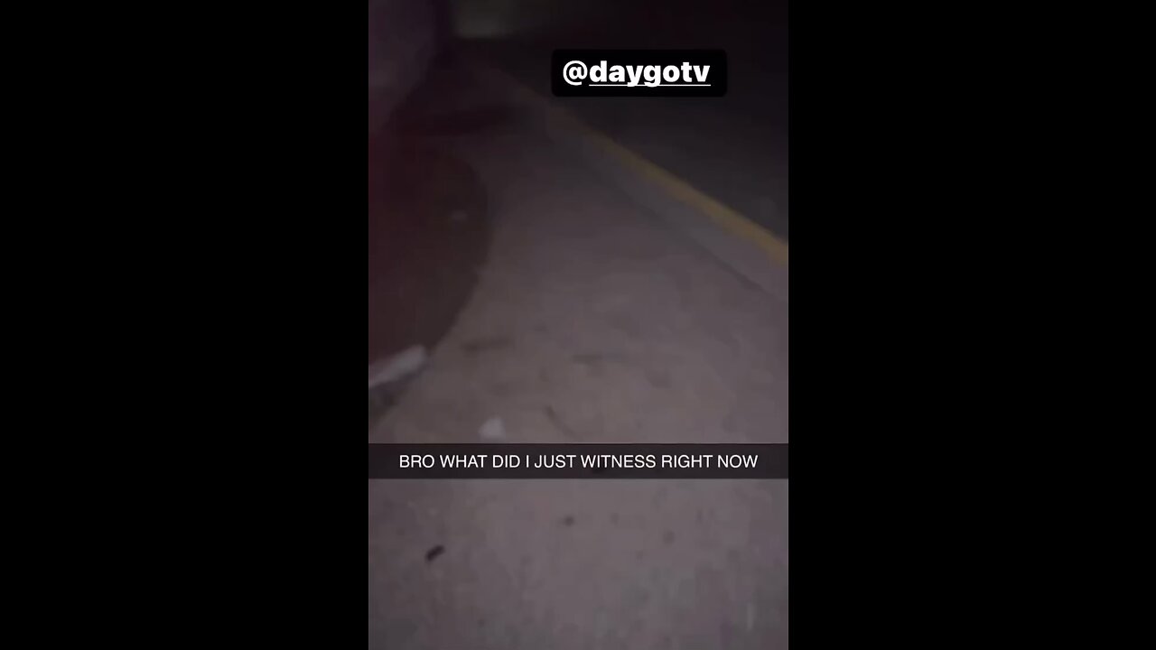 What just happened???