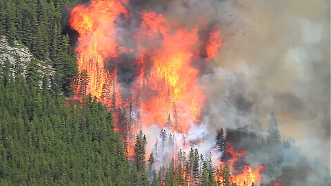 Canada Wildfires Lead to Air-Quality Alerts in Northeastern US