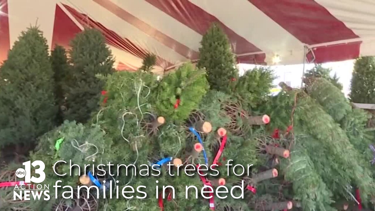 200 Christmas trees provided to families in need