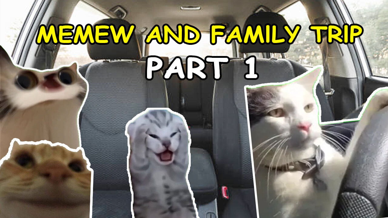 CAT MEMES: MEMEW AND FAMILY TRIP - PART 1