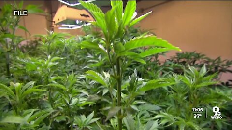 2 bills aim at legalizing marijuana in Kentucky