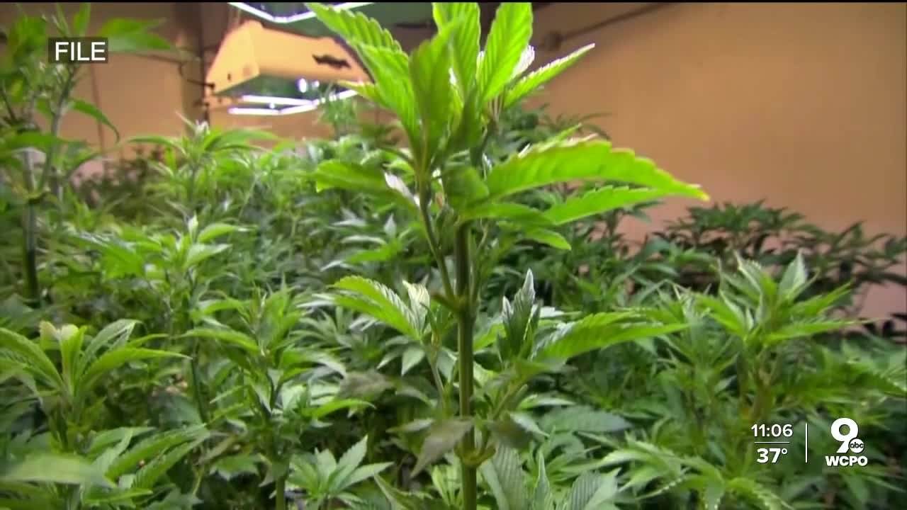 2 bills aim at legalizing marijuana in Kentucky