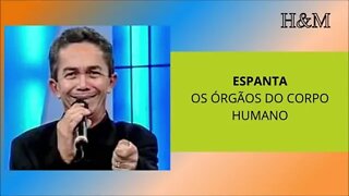 ESPANTA - OS ÓRGÃOS DO CORPO HUMANO