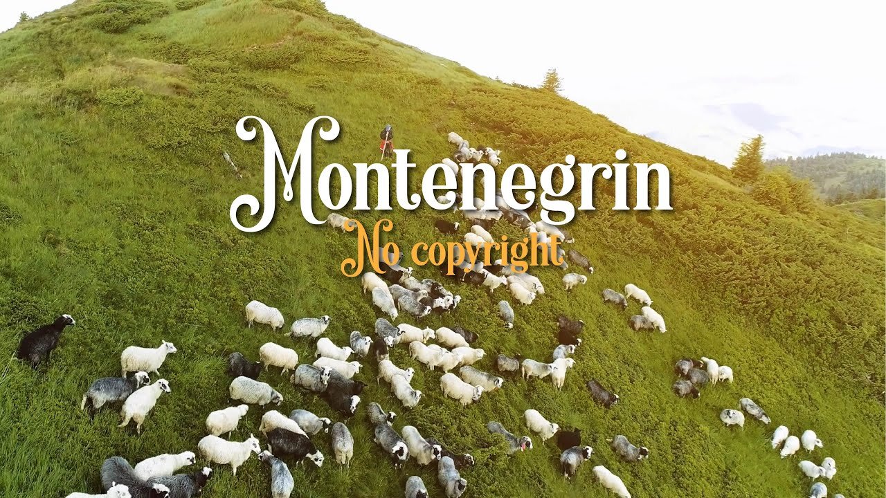 Aerial view of sheep farm on a mountain meadow in Montenegro