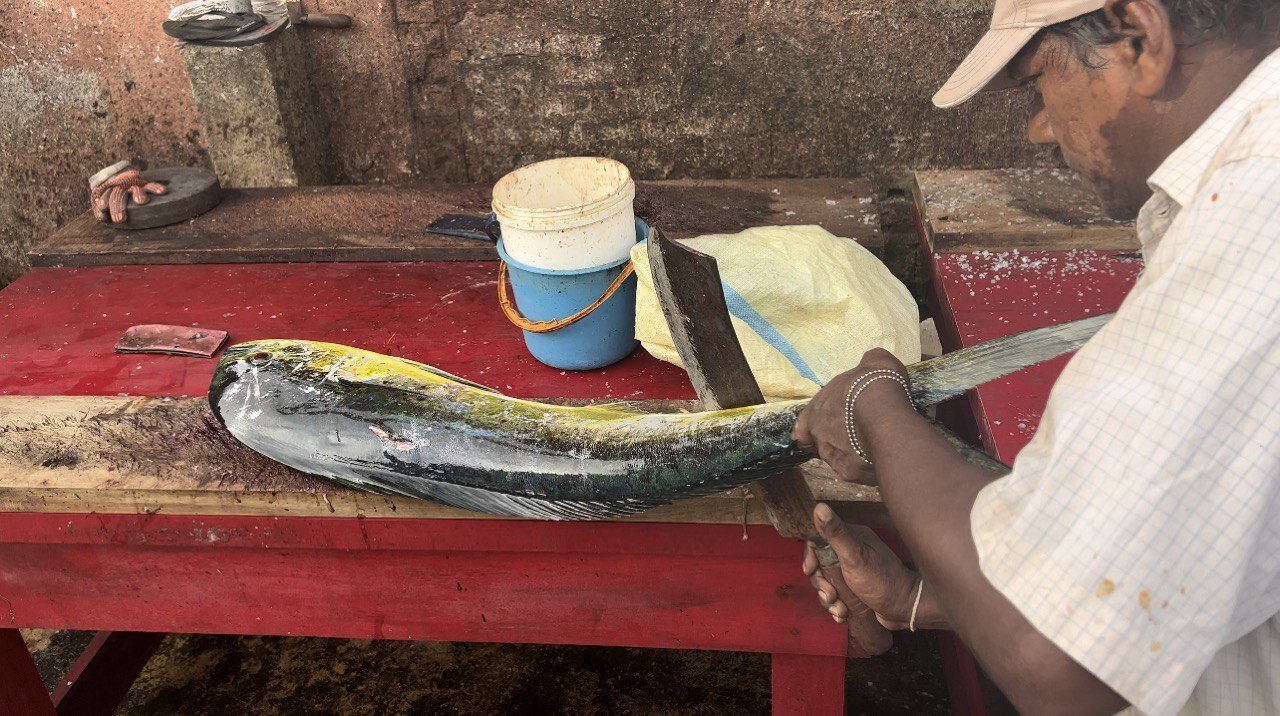 NEVER SEEN!! Speed Fish Cutting Amazing Skills Village Fish Market In Sri Lanka