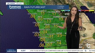 ABC 10News PinPoint Weather With Meteorologist Angelica Campos