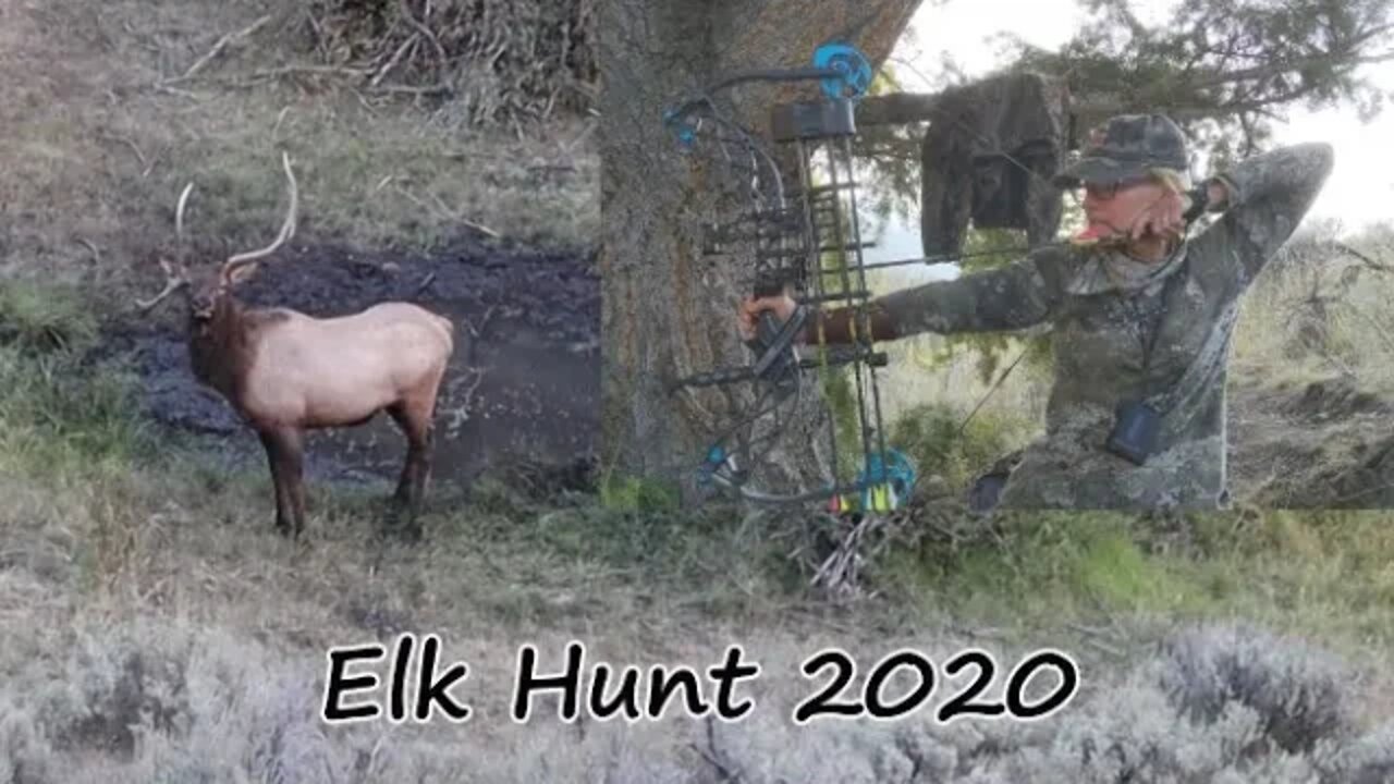 2020 Idaho archery elk hunt.