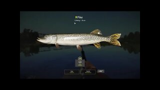 Russian Fishing 4 Volkhov River Pike 5.766 Kg