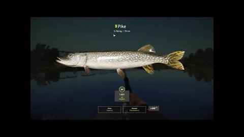 Russian Fishing 4 Volkhov River Pike 5.766 Kg