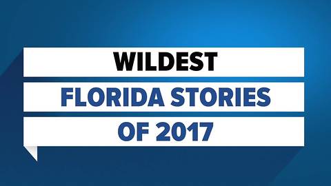 Florida stories that made us laugh, cry or say oh my! The weirdest news of 2017