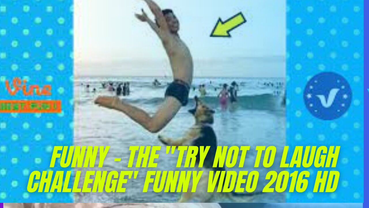 FUNNY - THE "TRY NOT TO LAUGH CHALLENGE" FUNNY VIDEO 2016 HD