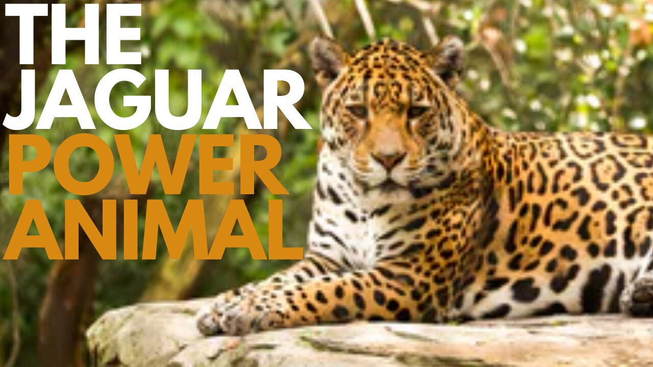 The Jaguar Power Animal