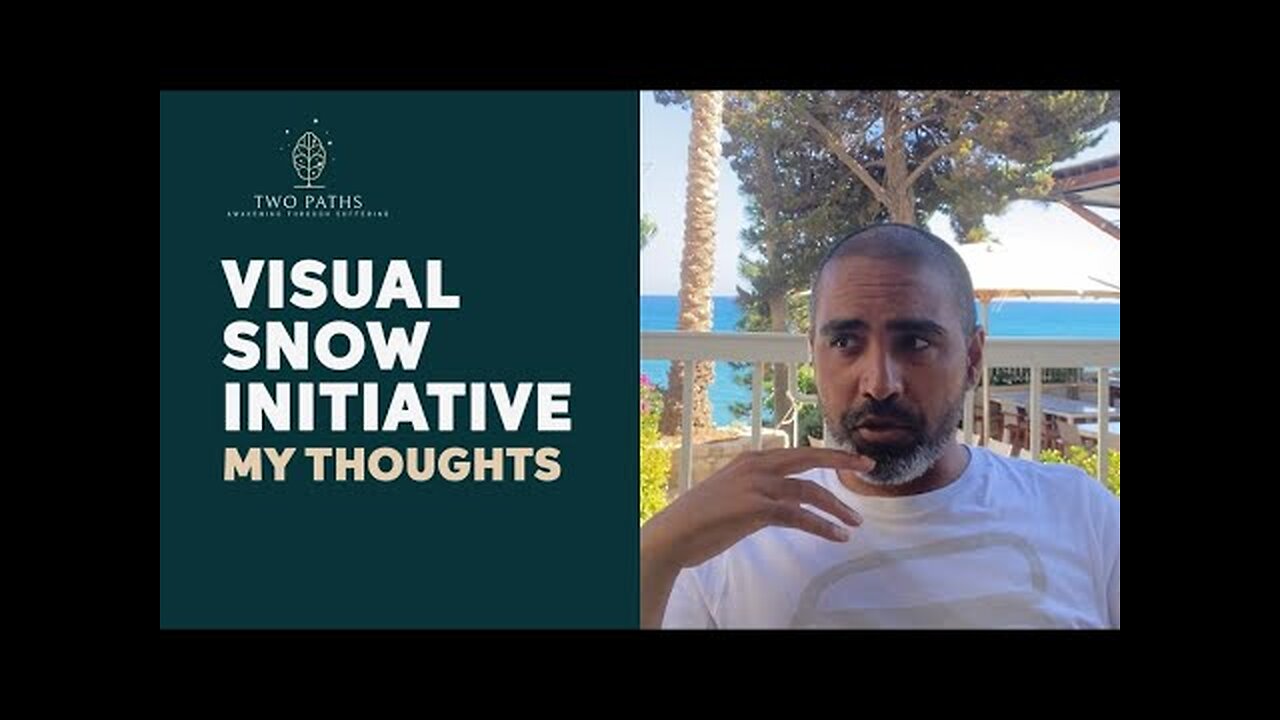 Visual Snow Initiative : My Thoughts