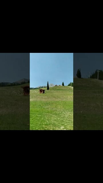 Lone Peak/Zip Lining 7.19.2021