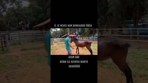 31 de março de 2022