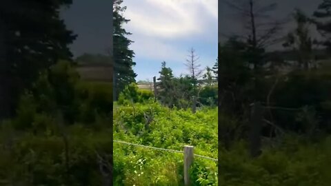 Early morning at our campsite