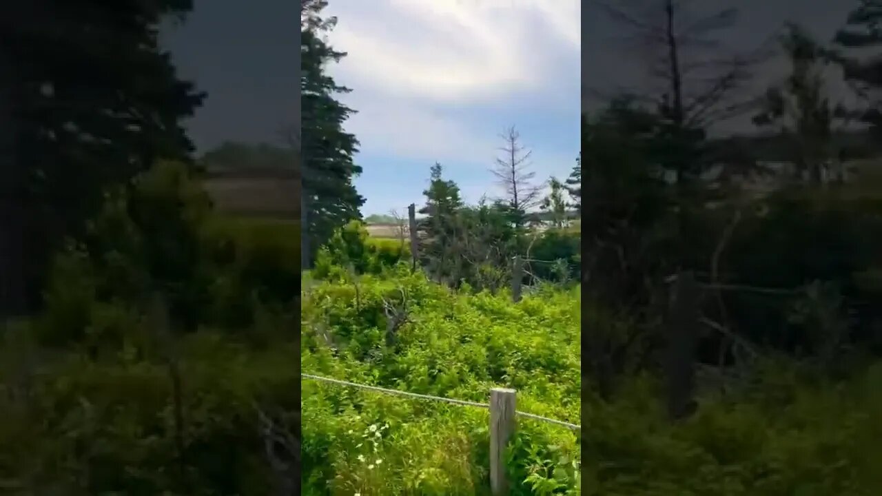 Early morning at our campsite