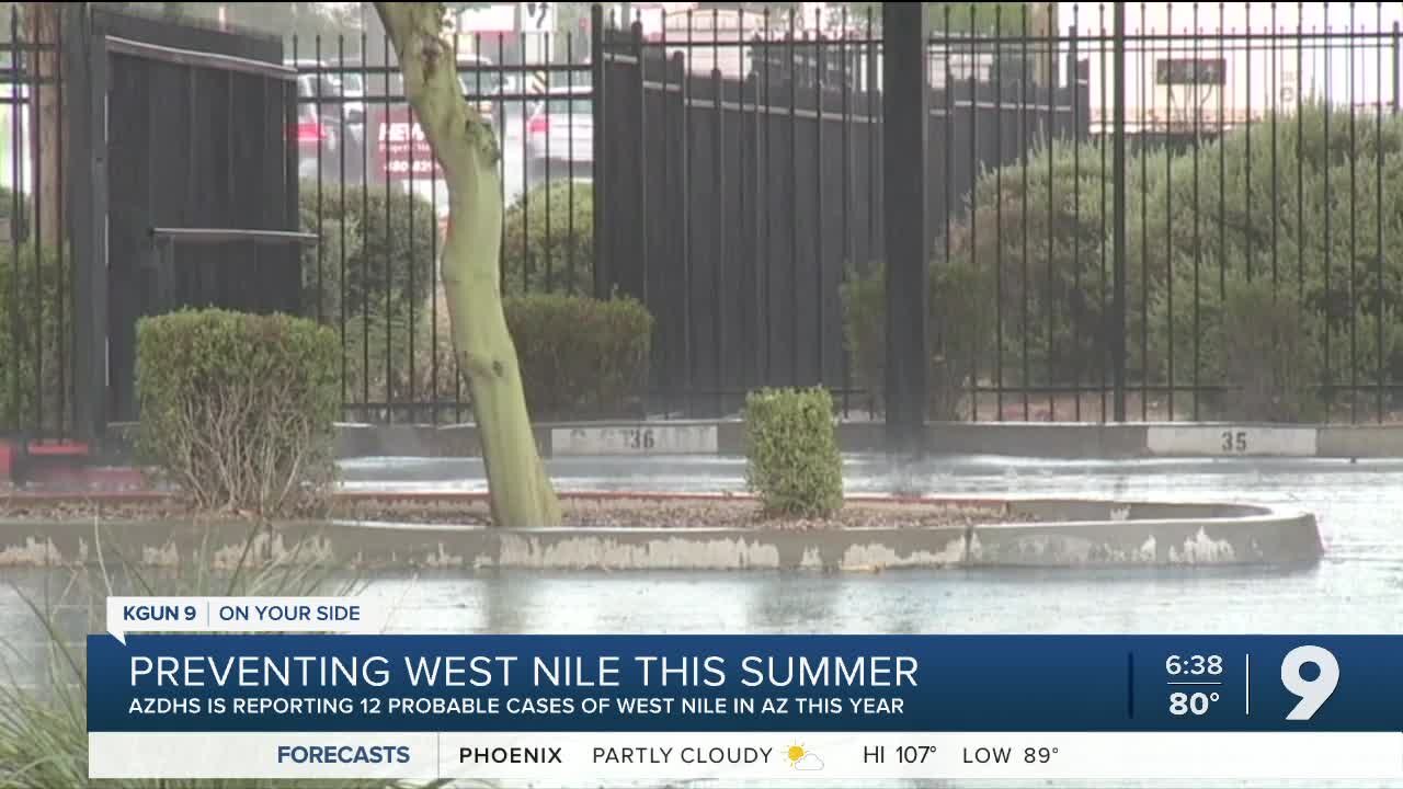 Preventing West Nile this summer