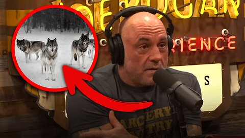 Joe Rogan EXPOSES The Wolf Pack That STOPPED WW1