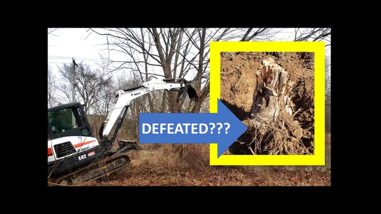 Can ONE stump win this battle?? I'll be back!!! Mini excavator defeated??