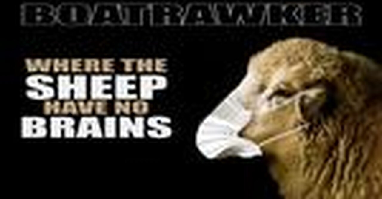 Where The Sheep Have No Brains by Screw U