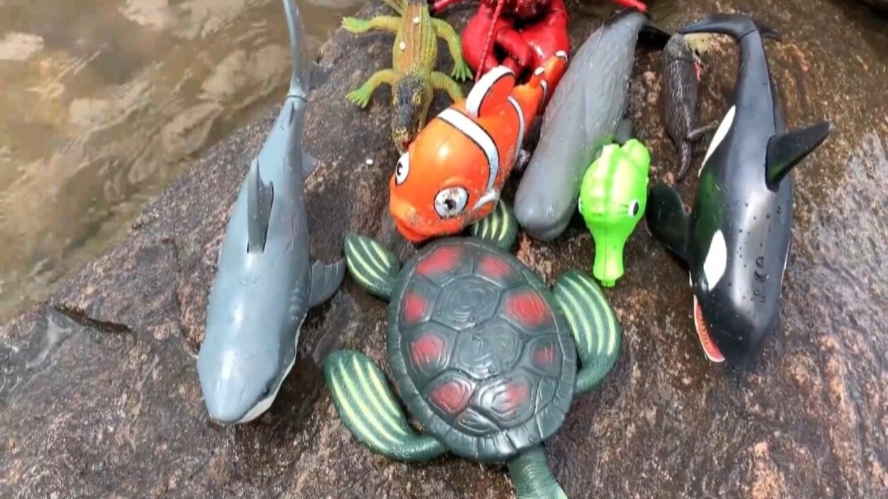 Sea Animal Toys This Summer At The Shore 2023