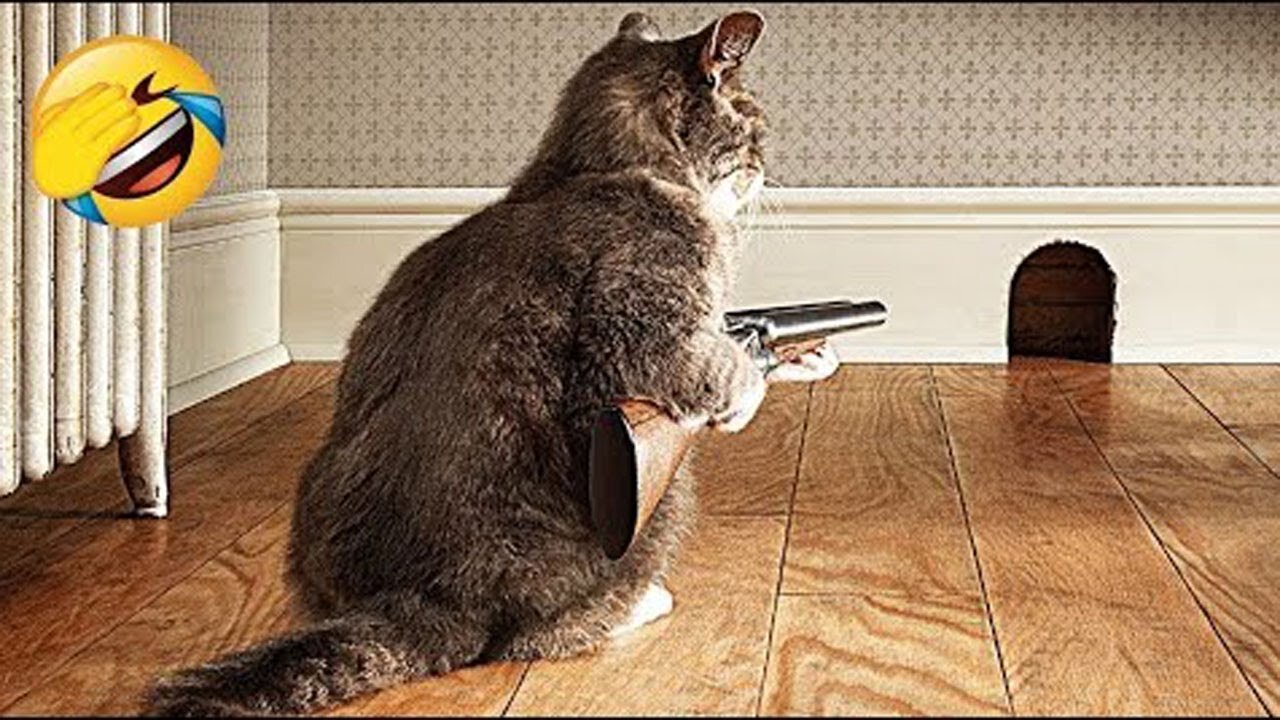 "Fun and Funny Animal Pranks.")))