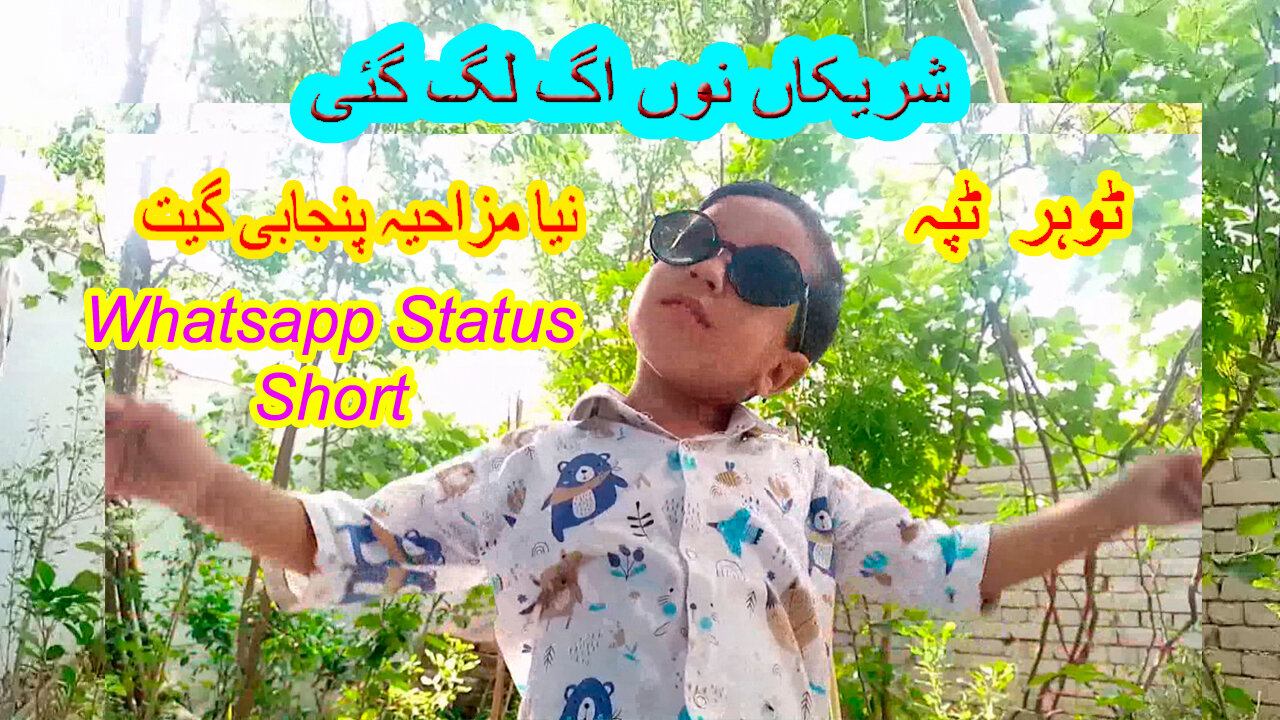 Shareekan nu agg lag gai Whatsapp Status | New Funny Song