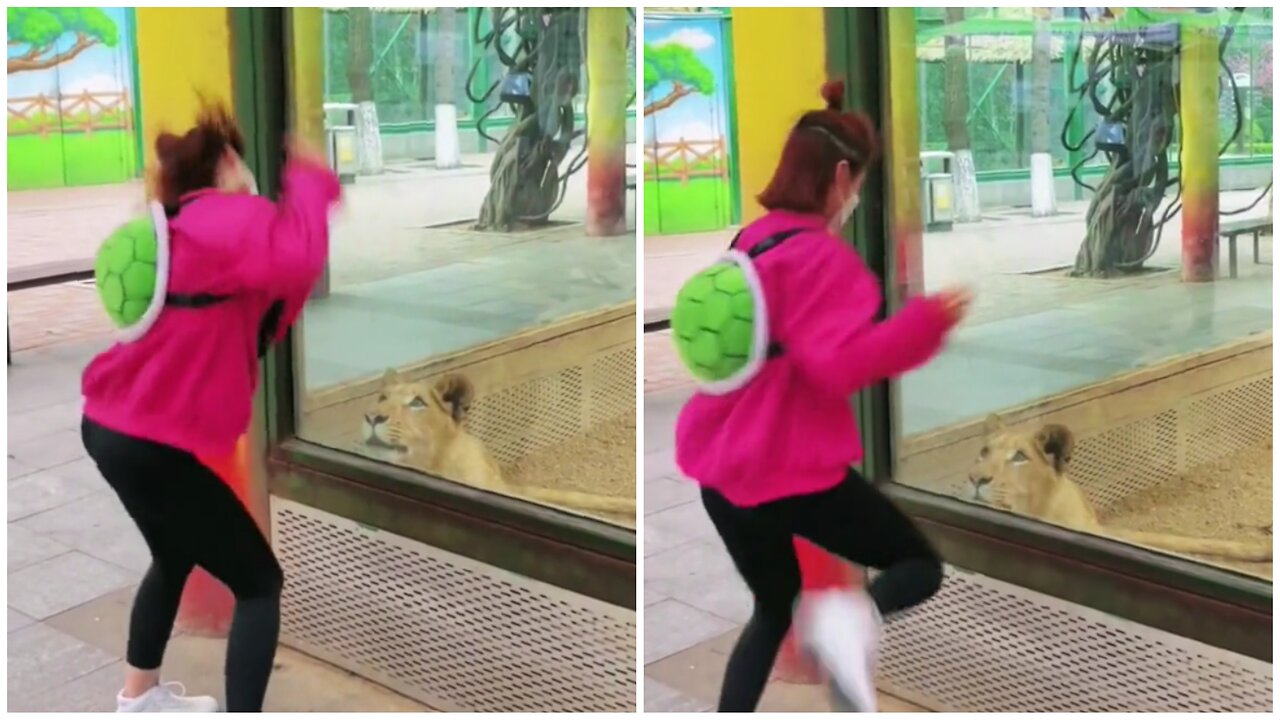 Dancing in front of the lion!!!