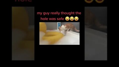 Omg!!😱😱