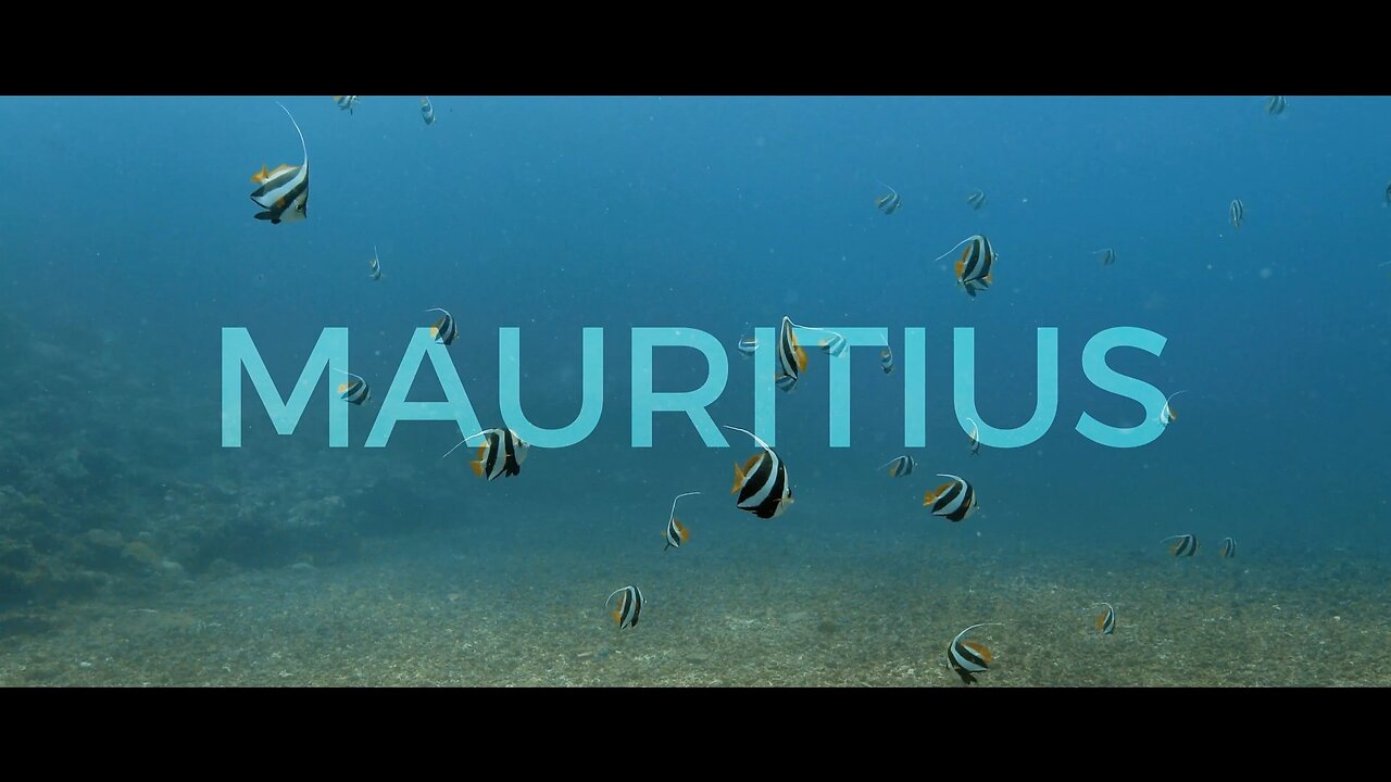 MAURITIUS SEA (underwater view)