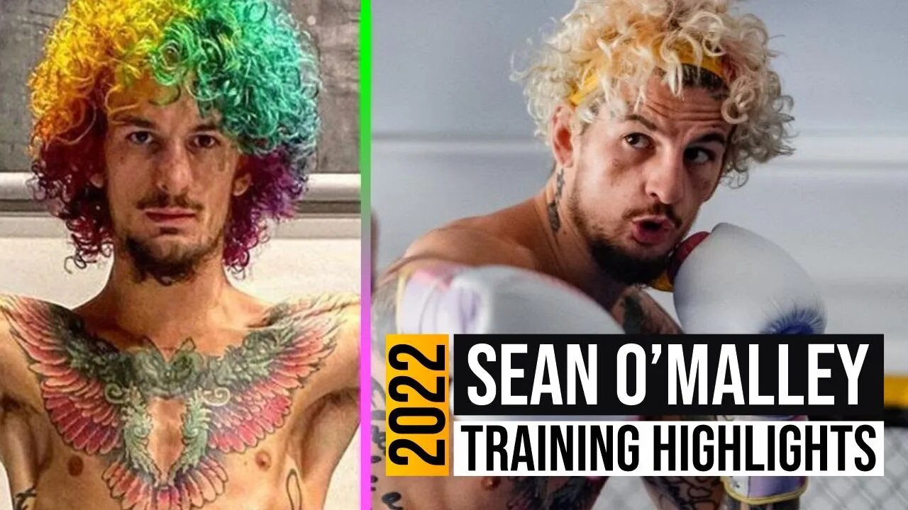 Sean O'Malley - Training Highlights 2022 - UFC 280