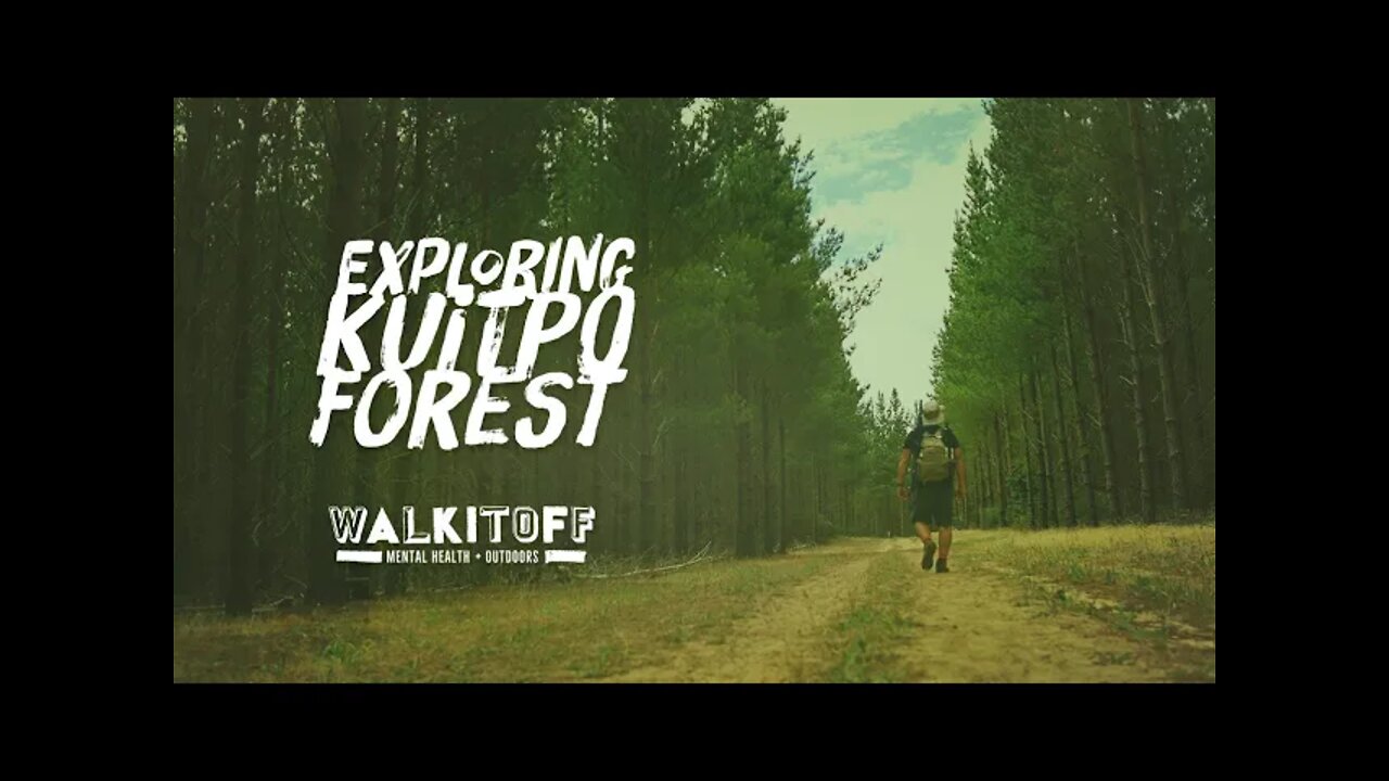 Saying Goodbye to 2020 by Exploring Kuitpo Forest