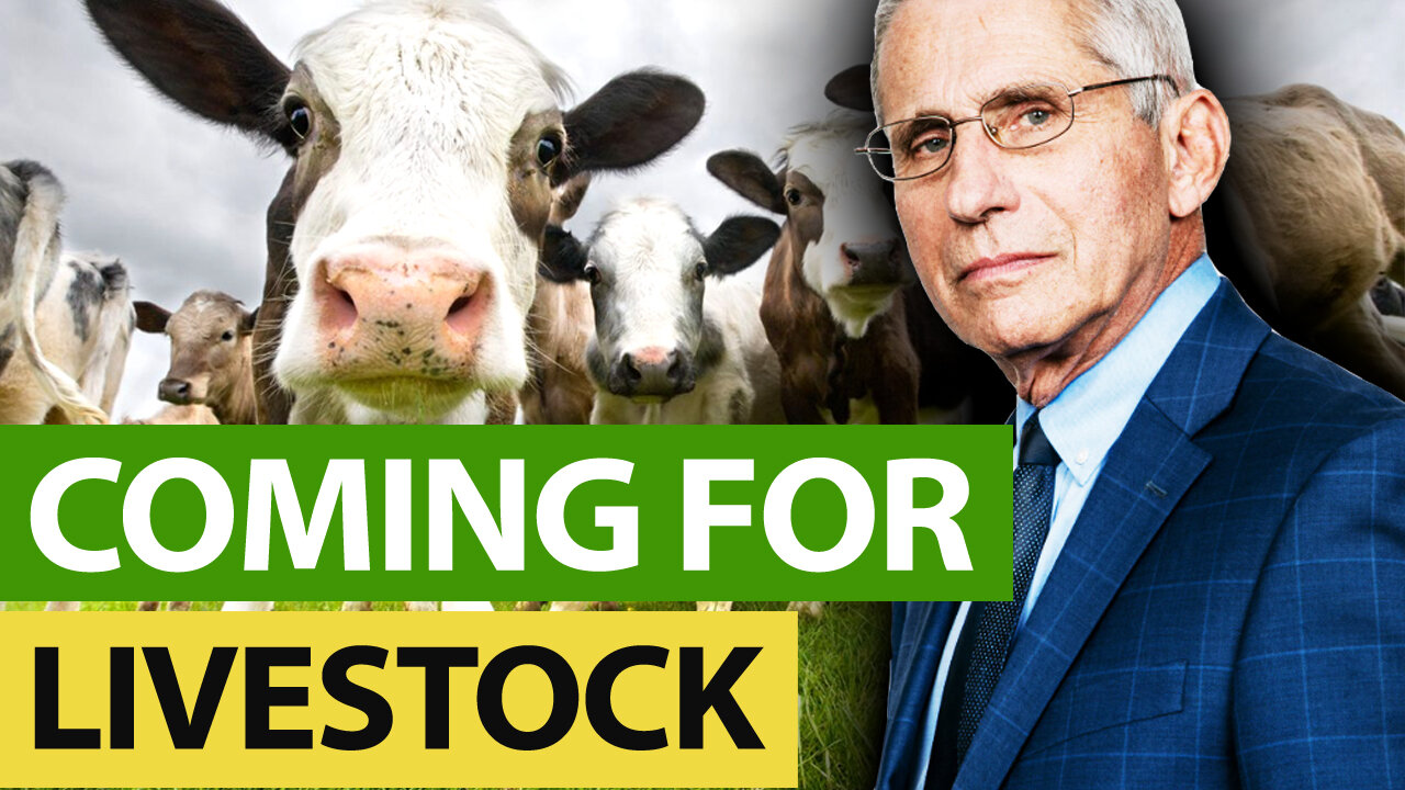 Yes! They ARE Making CLOTSHOTS For LIVESTOCK!