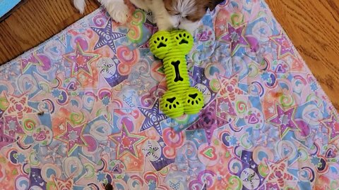 Indoor Playtime Today