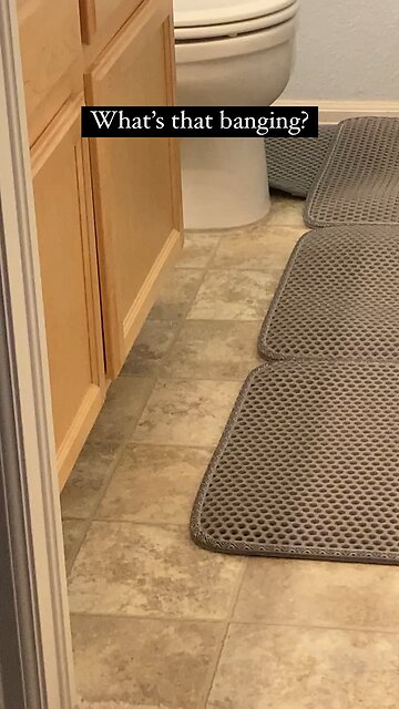 Leia the escape artist