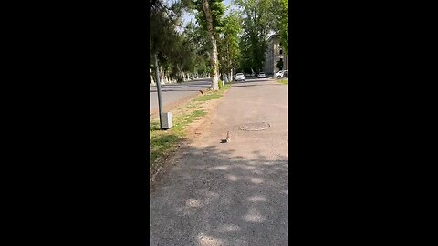 trying to climb