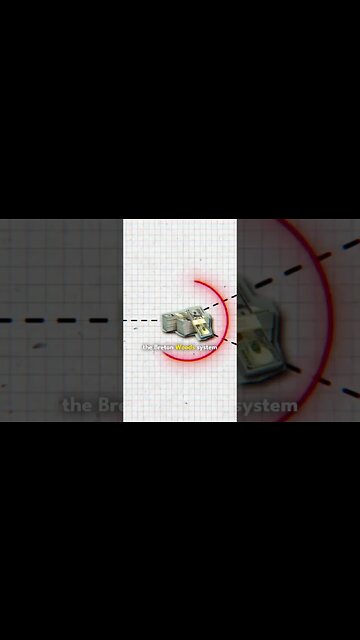 the rise of the us dollar as a global powerhouse