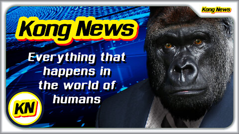 KONG NEWS - EVERYTHING THAT HAPPENS IN THE HUMAN WORLD