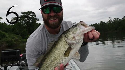 Carolina Rig Bundle