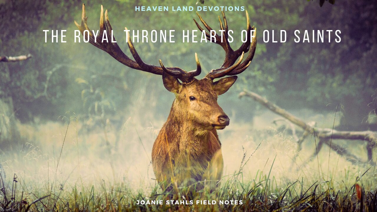 Heaven Land Devotions - The Royal Throne Hearts Of Old Saints