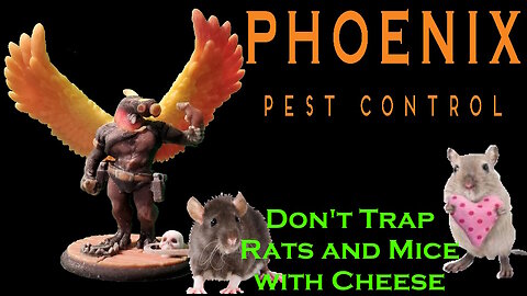 Don't Trap Mice & Rats with Cheese Phoenix Pest Control TN