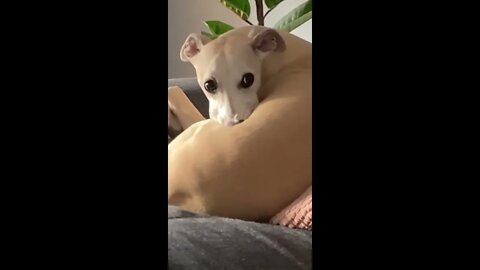 Just chillin’