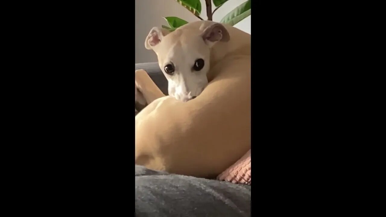 Just chillin’