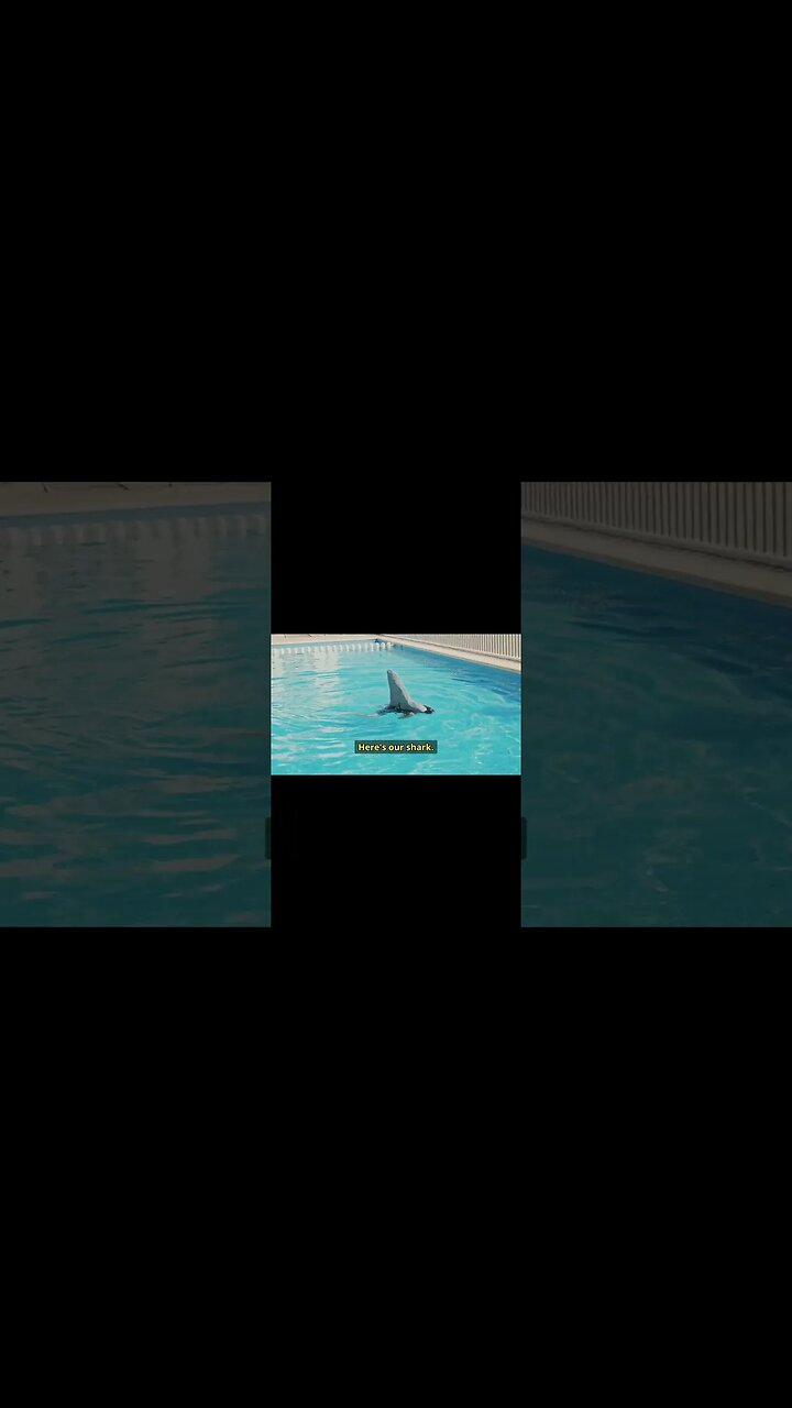 Funny Shark Film Behind the Scenes