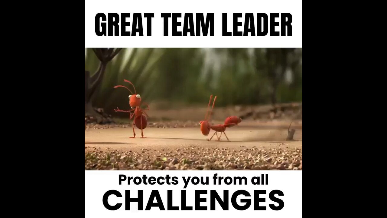 Team Leader