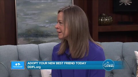 Help Animals In Need // DDFL.org