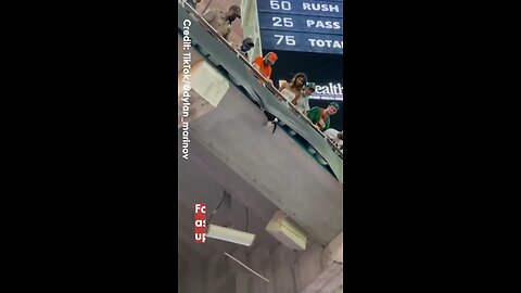 Fans Catch Cat Plummeting from Stadium