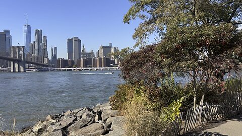 Brooklyn Bridge View